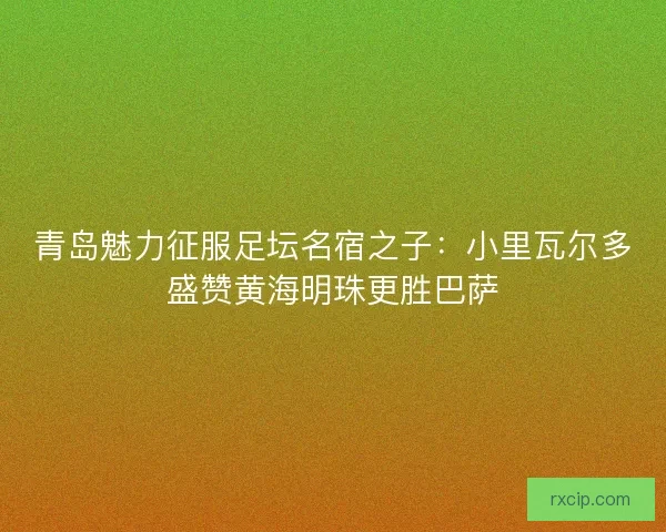 青岛魅力征服足坛名宿之子：小里瓦尔多盛赞黄海明珠更胜巴萨