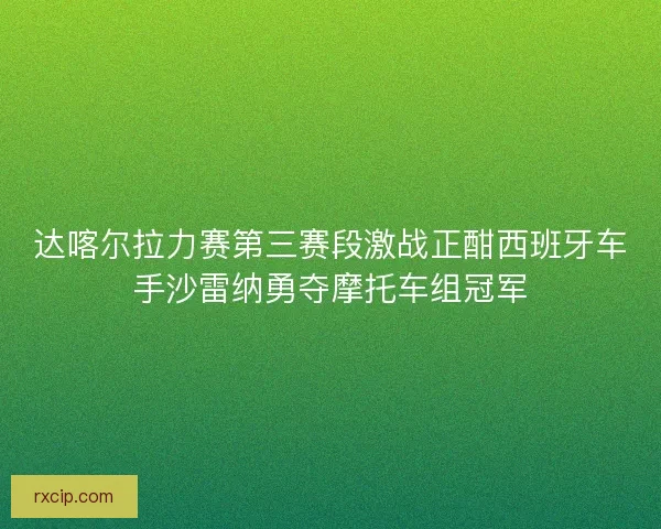 达喀尔拉力赛第三赛段激战正酣西班牙车手沙雷纳勇夺摩托车组冠军